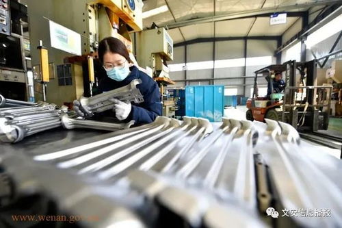 河北文安 穩(wěn)崗暖企 服務(wù)企業(yè)復(fù)工復(fù)產(chǎn)