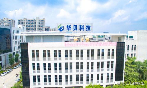 東莞 最好的13家企業(yè) ,待遇感人,有望追趕廣州和深圳 廣東 東莞市 深圳市 廣州市 科技 網(wǎng)易訂閱