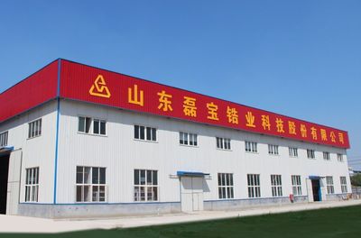 山東磊寶鋯業(yè)科技股份 - 九正(中國建材第一網(wǎng))