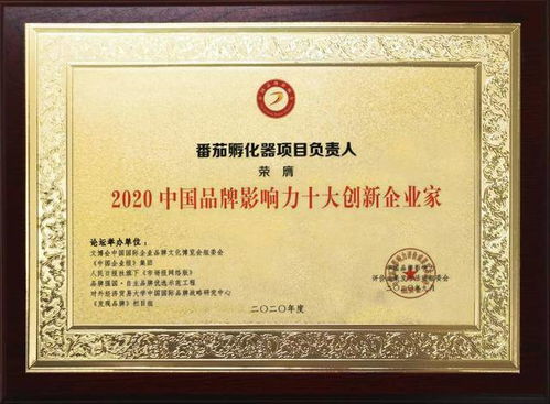 優(yōu)化游戲生態(tài)，引領(lǐng)行業(yè)發(fā)展丨展躍網(wǎng)絡(luò)攬品牌影響力峰會三項(xiàng)榮譽(yù)